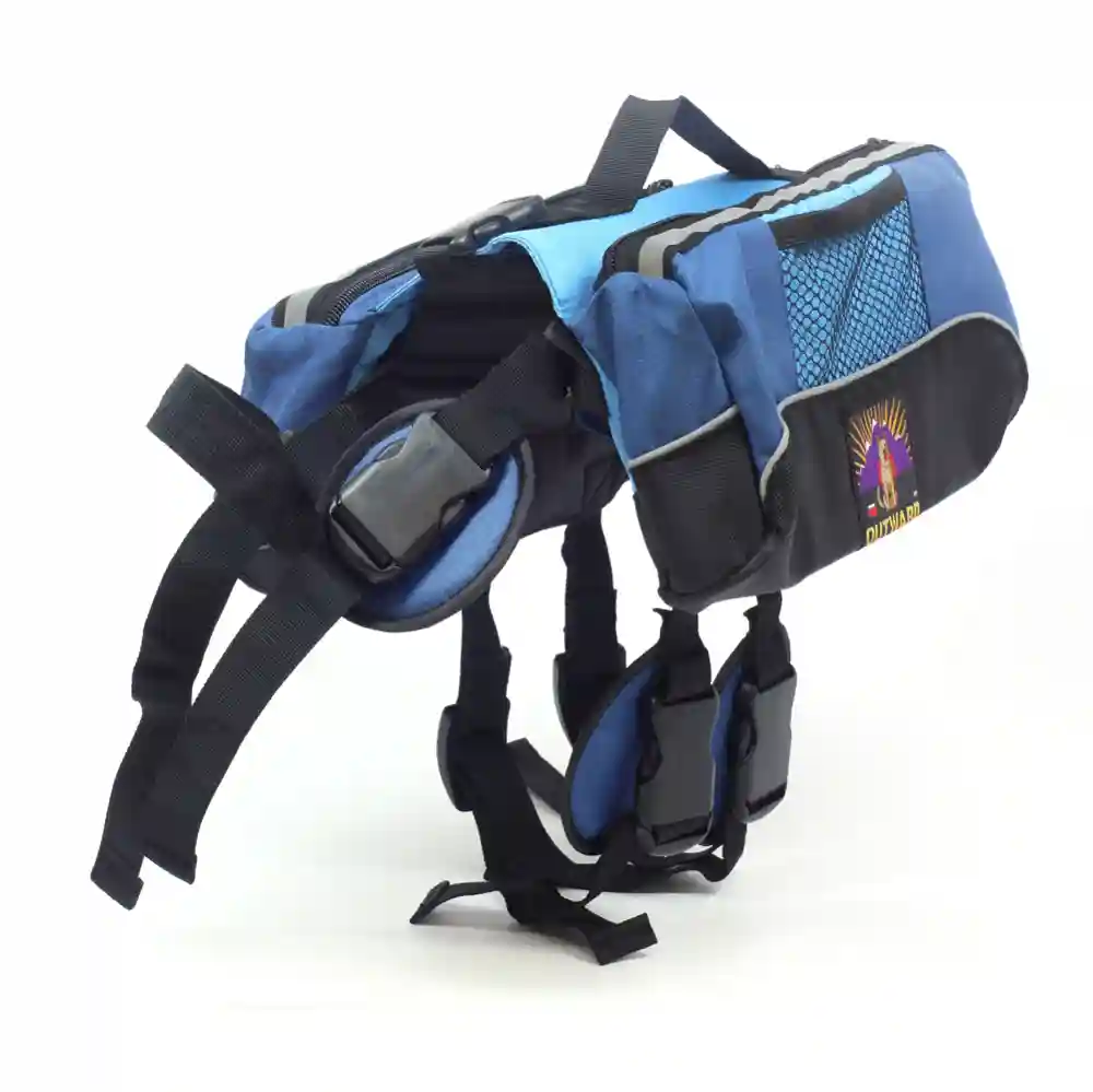 Outward hound backpack best sale