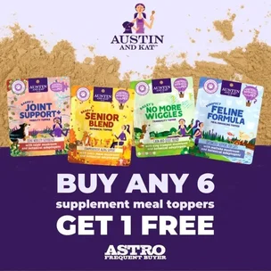 Austin and Kat | Jo…